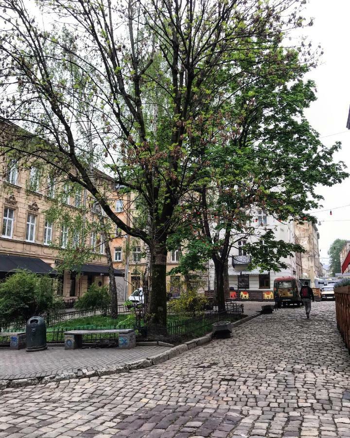 Vip Apartment Ploscha Rynok Львов Экстерьер фото